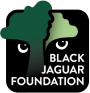 Black Jaguar Foundation